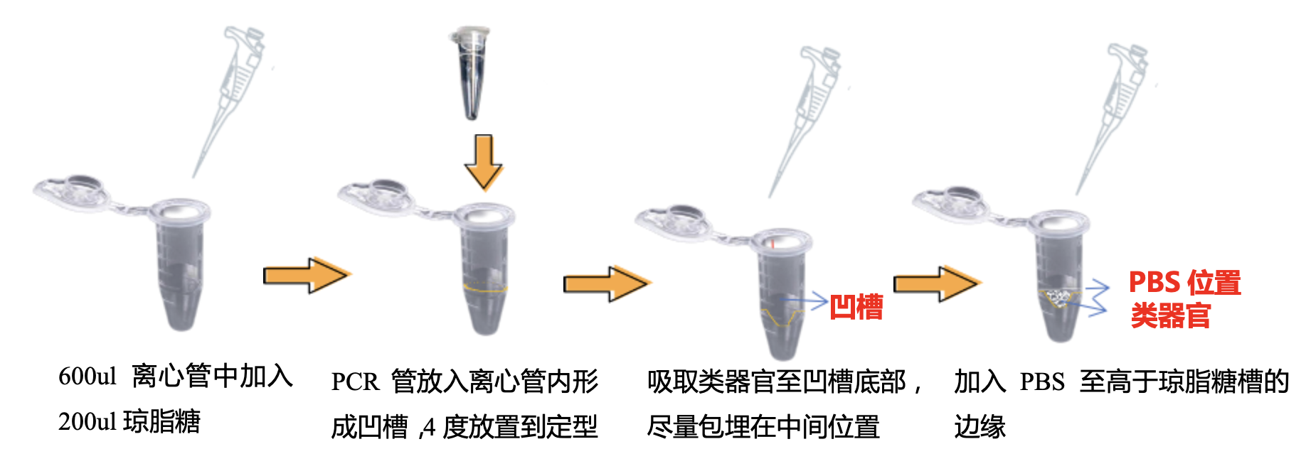 新闻图片20