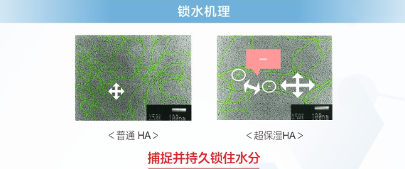 丘比超保湿型透明质酸来了解一下！