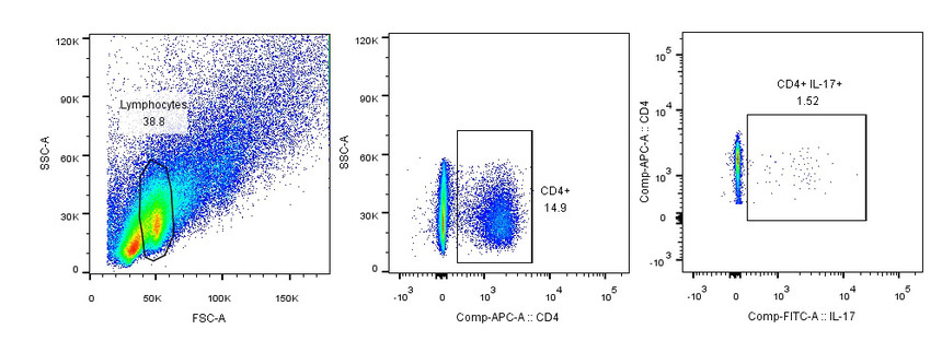 流式细胞术检测小鼠脾脏中Th17阳性细胞占比 流式细胞术检测小鼠脾脏中Th17阳性细胞占比