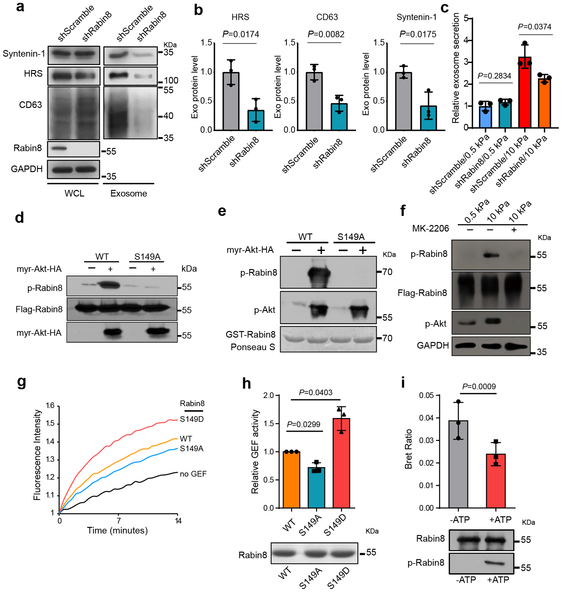 外泌体检测 外泌体检测