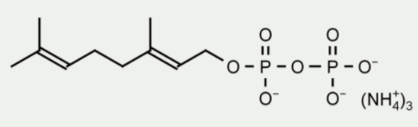 香叶基二磷酸（GPP），快速发货，提升科研效率