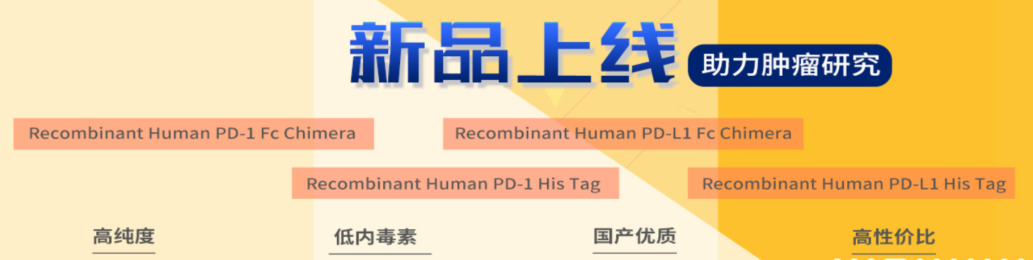 新品体验价！5折！现货！