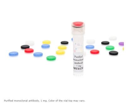 艾美捷抗人IL-2单克隆抗体MT2A91/2C95化学性质&文献参考 艾美捷抗人IL-2单克隆抗体MT2A91/2C95化学性质&文献参考