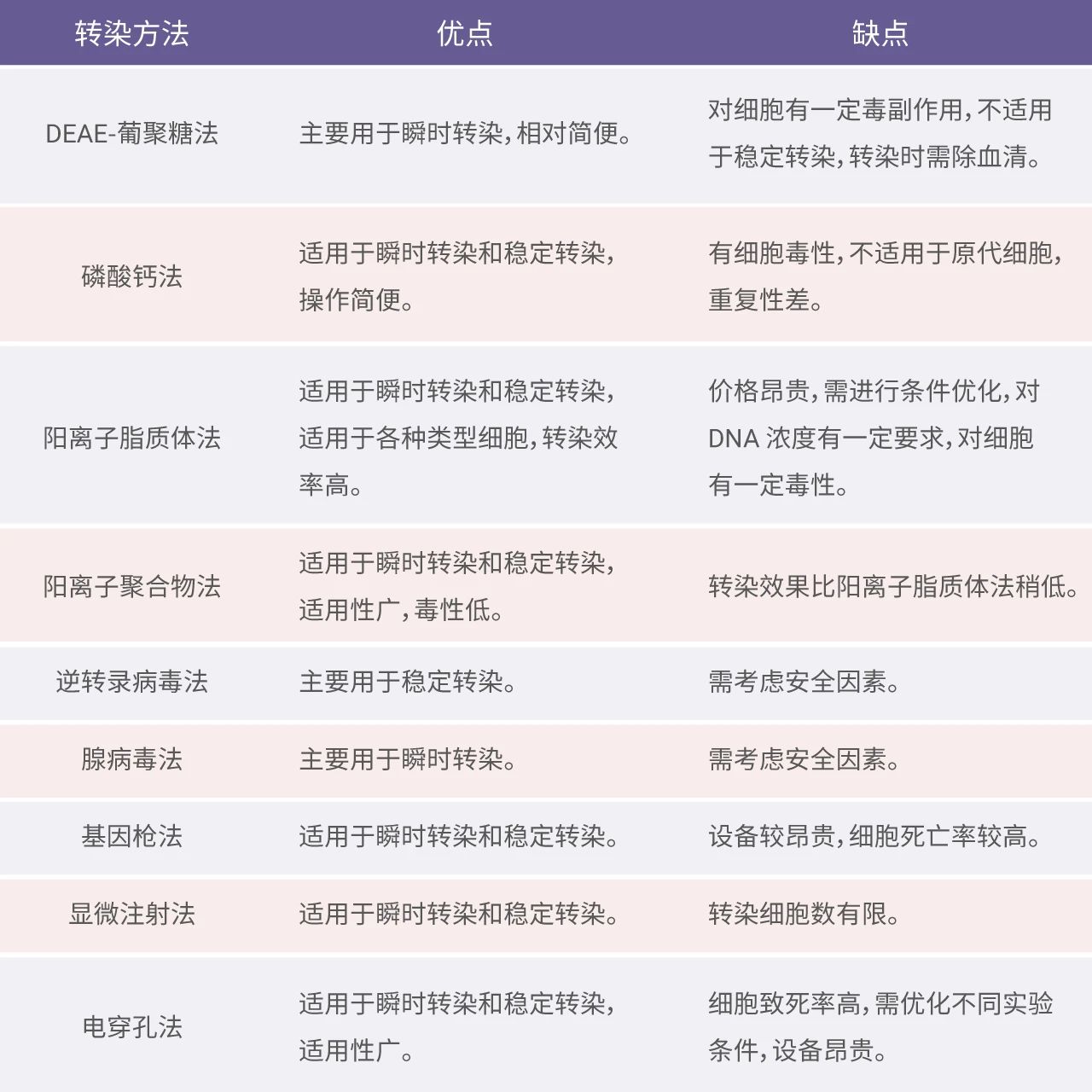 细胞转染、重组蛋白、荧光素酶检测试剂盒实验