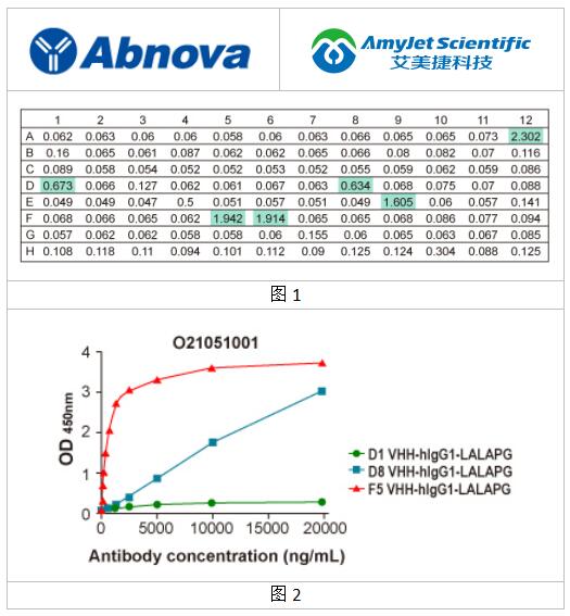 Abnova丨Abnova 骆驼科单域抗体(纳米抗体)解决方案 Abnova丨Abnova 骆驼科单域抗体(纳米抗体)解决方案
