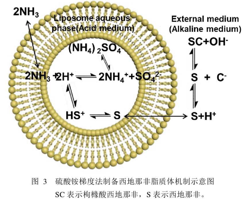 吸入性脂质体在临床中的应用