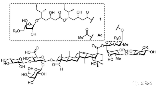 深入了解QS-21：皂树皂苷的成分和特点，AVT国产自研QS-21