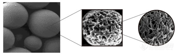 探究免疫沉淀（IP）实验中琼脂糖珠与磁珠比较