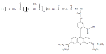 艾美捷PLGA-Rhod荧光标记高分子研究方案 艾美捷PLGA-Rhod荧光标记高分子研究方案