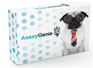 人GPR37L1(前丝素受体GPR37L1)ELISA试剂盒，促销特惠，品质无忧！