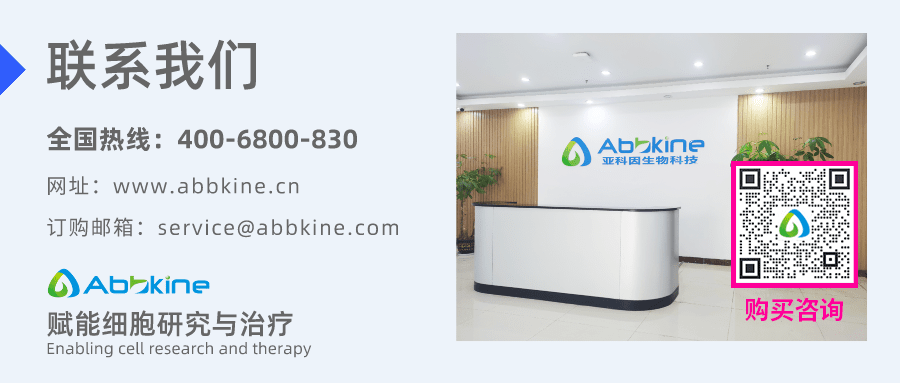 Annexin V-AbFluor™ 555细胞凋亡检测试剂盒(橙色荧光)操作步骤