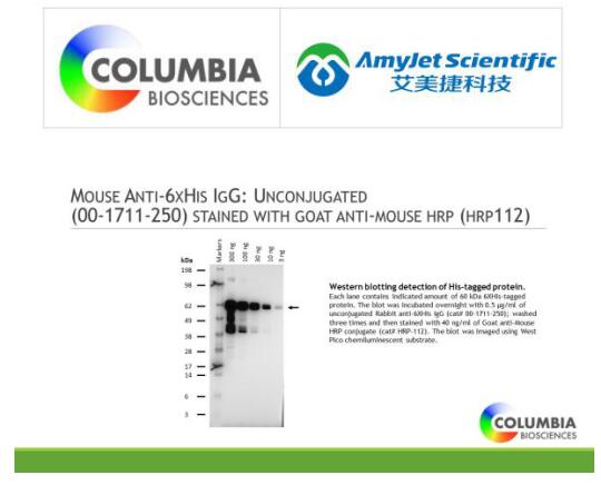 Columbia Biosciences艾美捷小鼠抗 6His IgG：未偶联说明