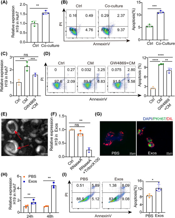 外泌体技术服务