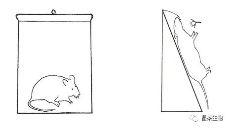 1697436221293003.jpg 新闻图片4