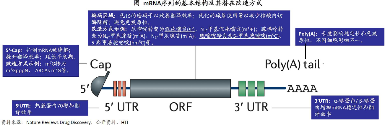 mRNA质量检测之poly A尾检测方法