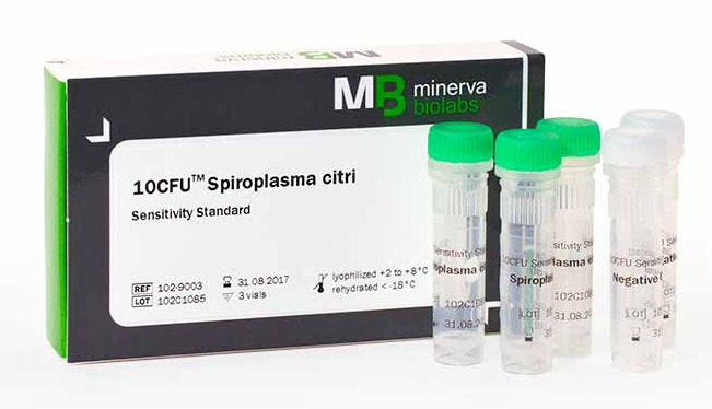 支原体PCR验证用标准品，认准MB产品