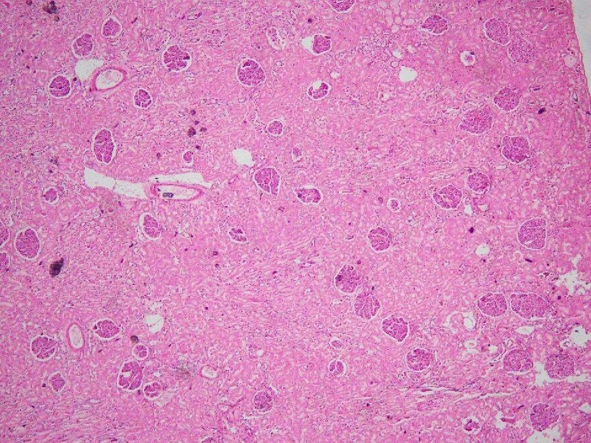 1693384722927240.jpg 1693384722927240.jpg