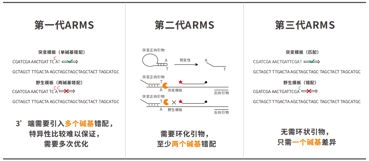 新品速递 | 扩增阻滞突变DNA 聚合酶及相关试剂盒