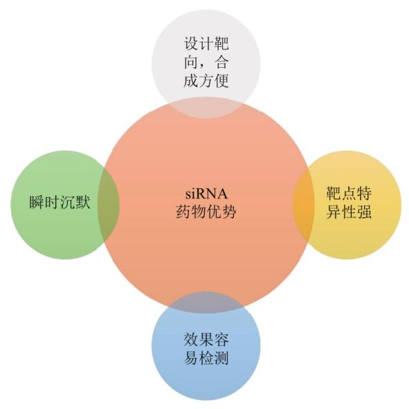 siRNA介绍及药物研发的现状前景