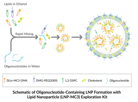 Cayman Chemical：脂质纳米颗粒（LNP-MC3）探测试剂盒