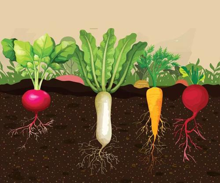 净信高通量土壤研磨仪|土壤样品前处理