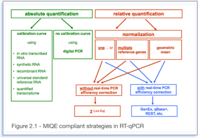 干货分享 | RT-qPCR中的定量策略详解