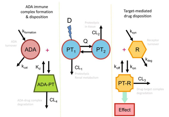 艾柏森免疫原性评价
