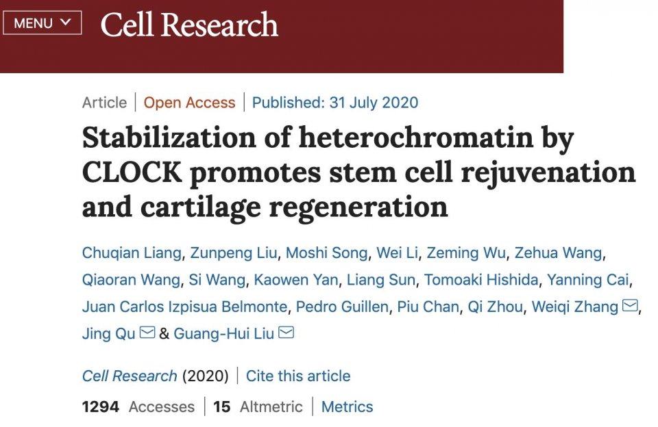 抗老有新招~延缓干细胞衰老的秘密（细胞培养fbs作用）
