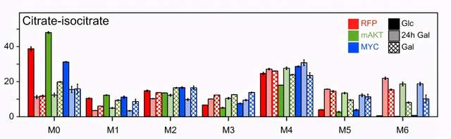 一种糖竟然可以杀死癌细胞