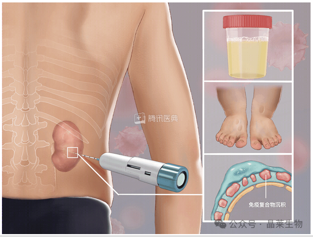 1709541657844979.png 新闻图片4