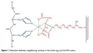 镍柱纯化原理与使用方法