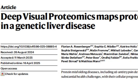 再登Nature! | 单细胞分辨率空间蛋白质组解锁遗传性肝病蛋白毒性新机制