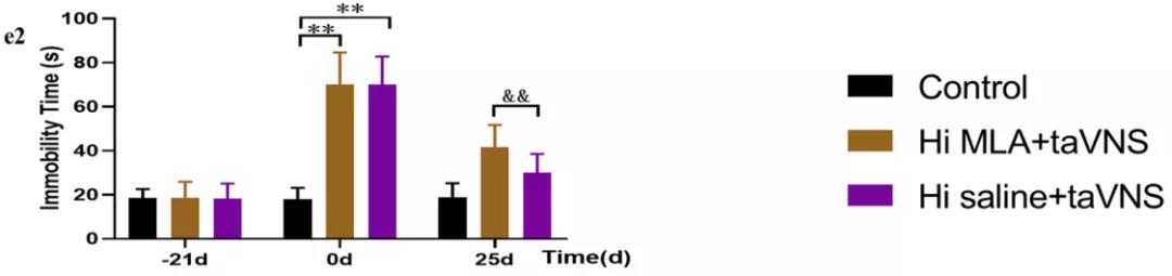  大鼠在神经领域的应用