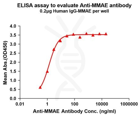 DIMA BIOTECH抗MMAE抗体(8C4);兔单克隆抗体开启省钱模式