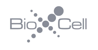 艾美捷体内MAb小鼠/人磷酸化PD-1(CD279)抗体说明书