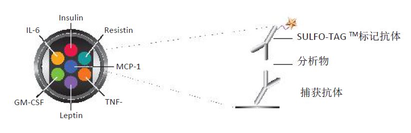 收视率登顶：【十分钟】学会多因子检测