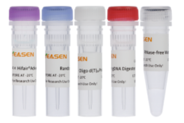 精品推荐 | 仅需5min！高效完成反转录实验