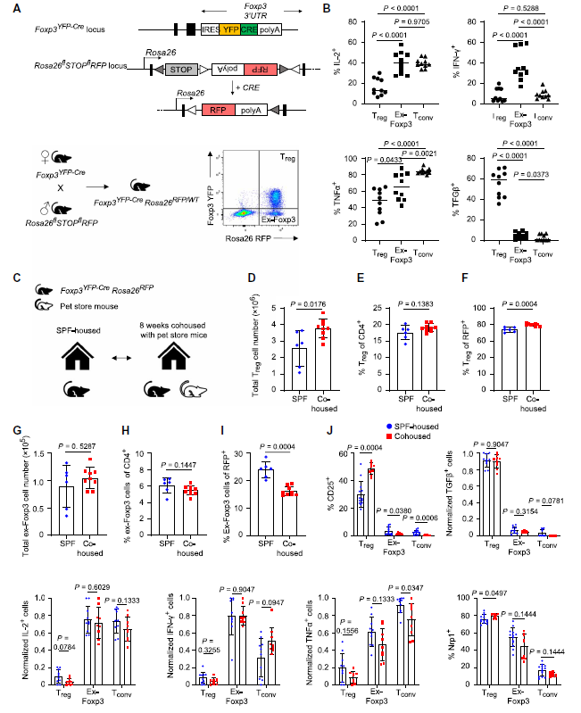 BD Rhapsody单细胞多组学技术助力鉴定未知Unstable Treg亚群