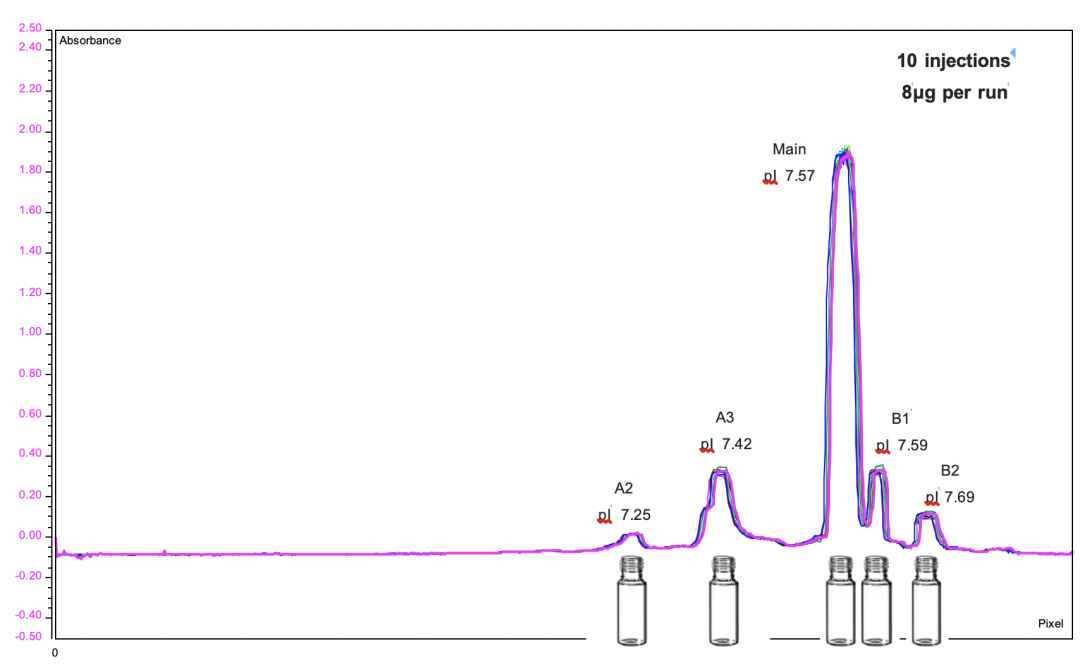 基于尖端的全柱成像等电毛细管电泳