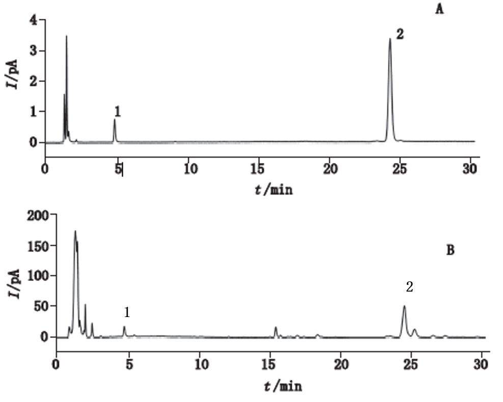 Vanquish Core应用文献抢鲜看——紧跟药典，标准创新！