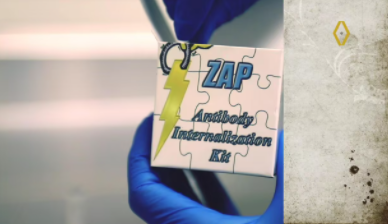 艾美捷ZAP抗体内化试剂盒分析方案