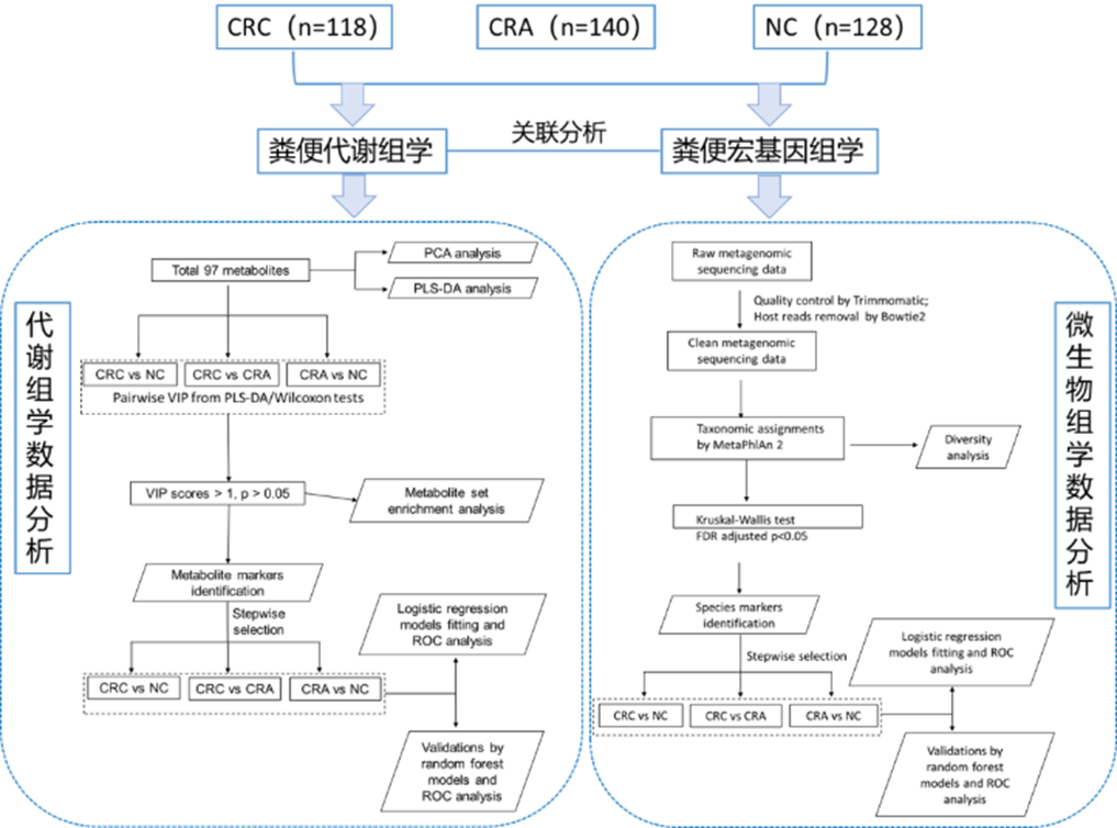 肠病合集 | 麦特绘谱助力肠道疾病相关研究成果