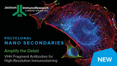 Jackson纳米二级抗体研究丨艾美捷VHH片段羊驼抗人IgG（H+L）
