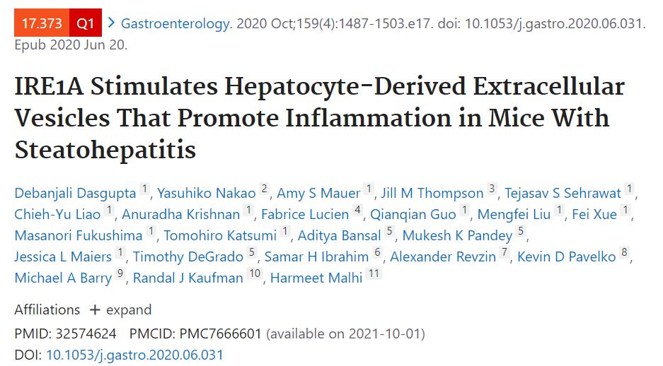 IRE1A刺激肝细胞来源的细胞外囊泡，促进脂肪性肝炎的小鼠炎症