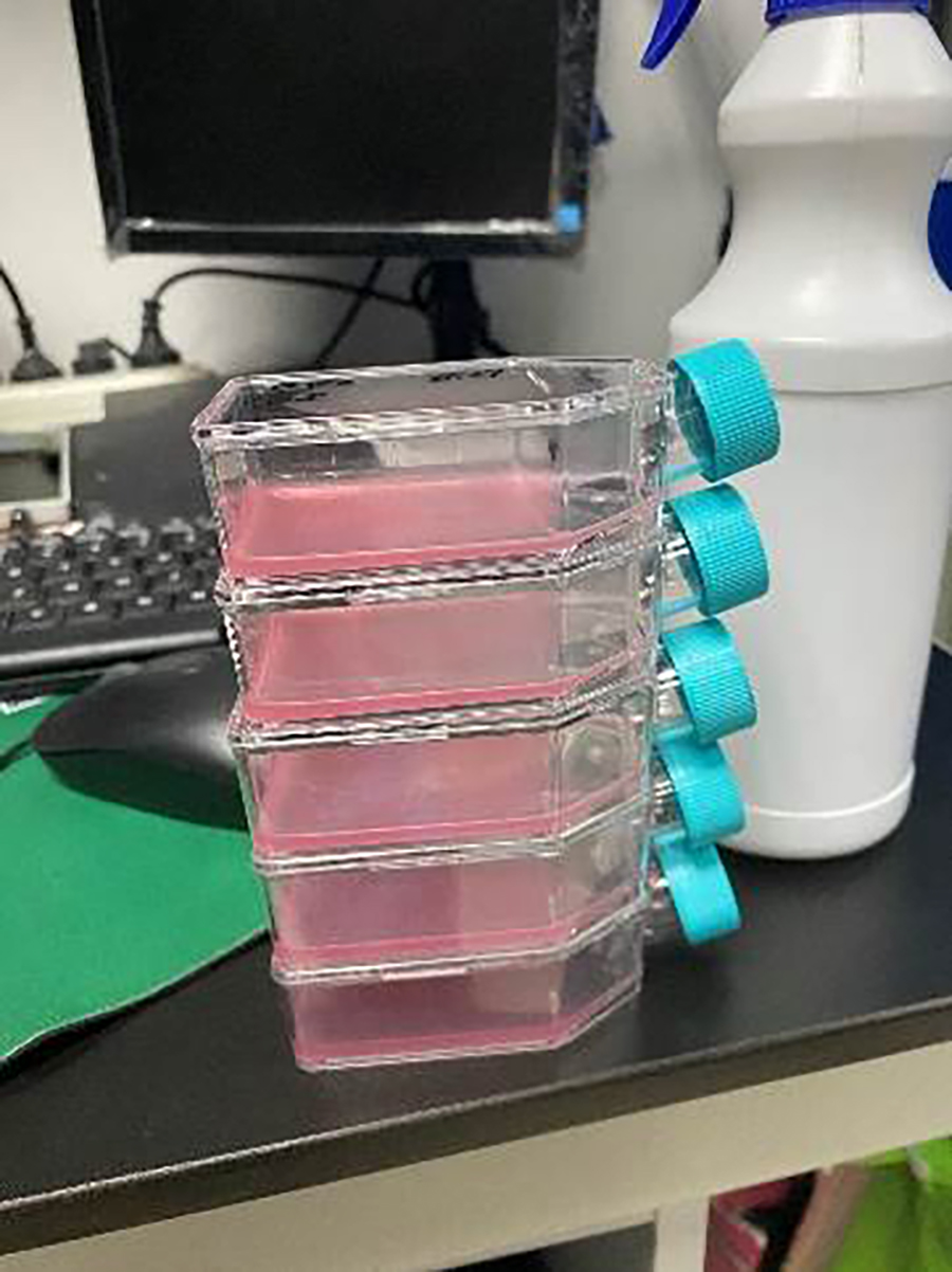 希尔博士讲堂 | 细胞污染大展观 - 细菌篇