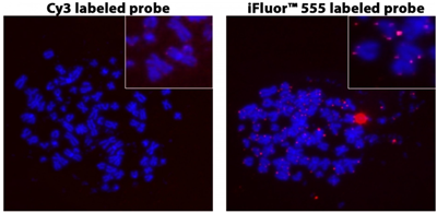 花青-3- dUTP [Cy 3-dUTP] ：高端品质，亲民价格