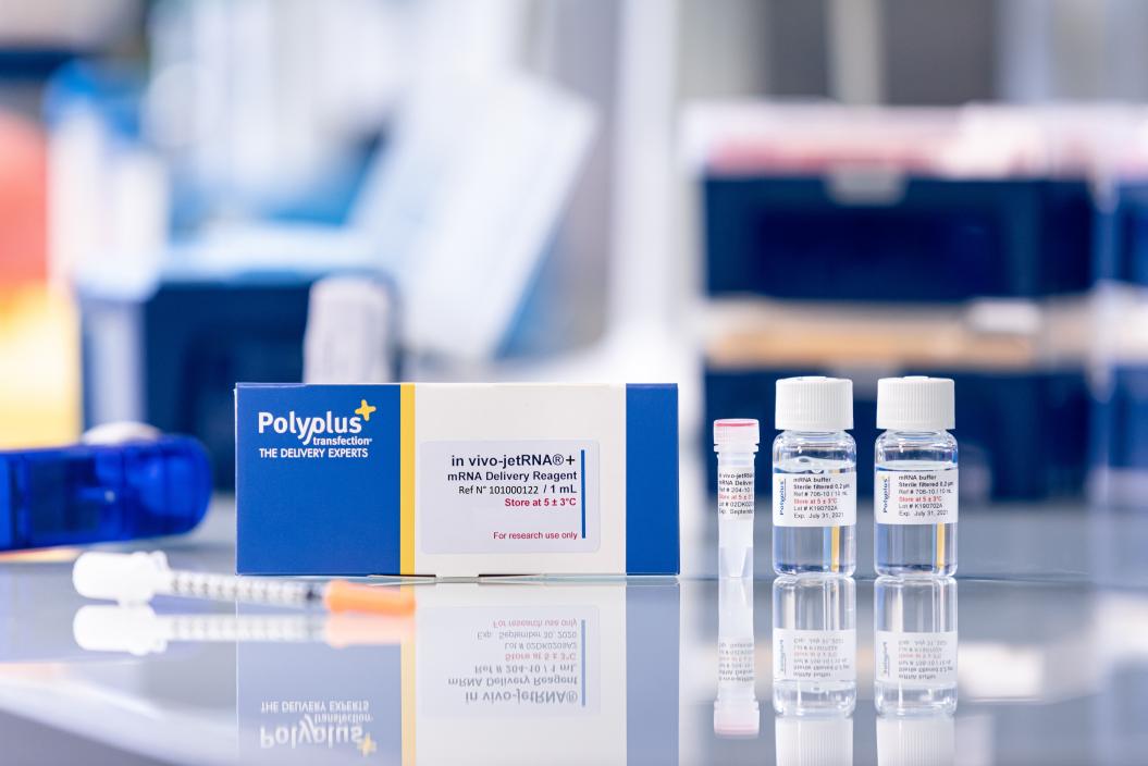in vivo jetRNA+，基于阳离子脂质体的新一代mRNA转染试剂