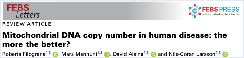 必追的国自然热点：人类疾病中的线粒体DNA拷贝数真的越多越好吗？