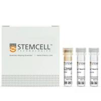 EasySep™ 小鼠MDSC(CD11b+Gr1+)分离试剂盒