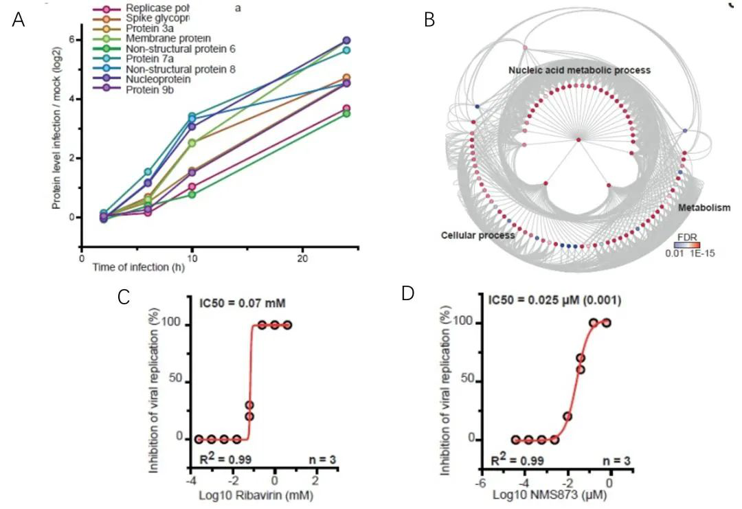 质谱发威！德国科学家给新冠做绝育！有望消灭新冠